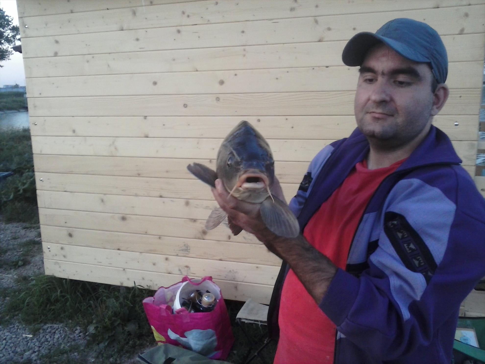 Pleasa 2013 - crap comun 3,8 kg